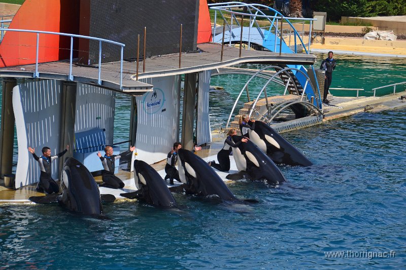 Marineland aout 2014 83.JPG - Marineland - Parc d'attractions aquatiques - Antibes - Août 2014